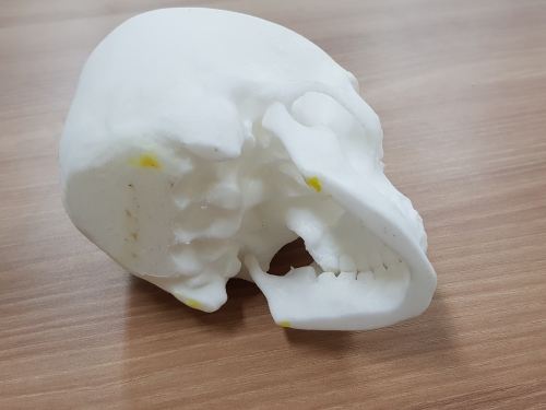 두개골 3D모델링 및 샘플링